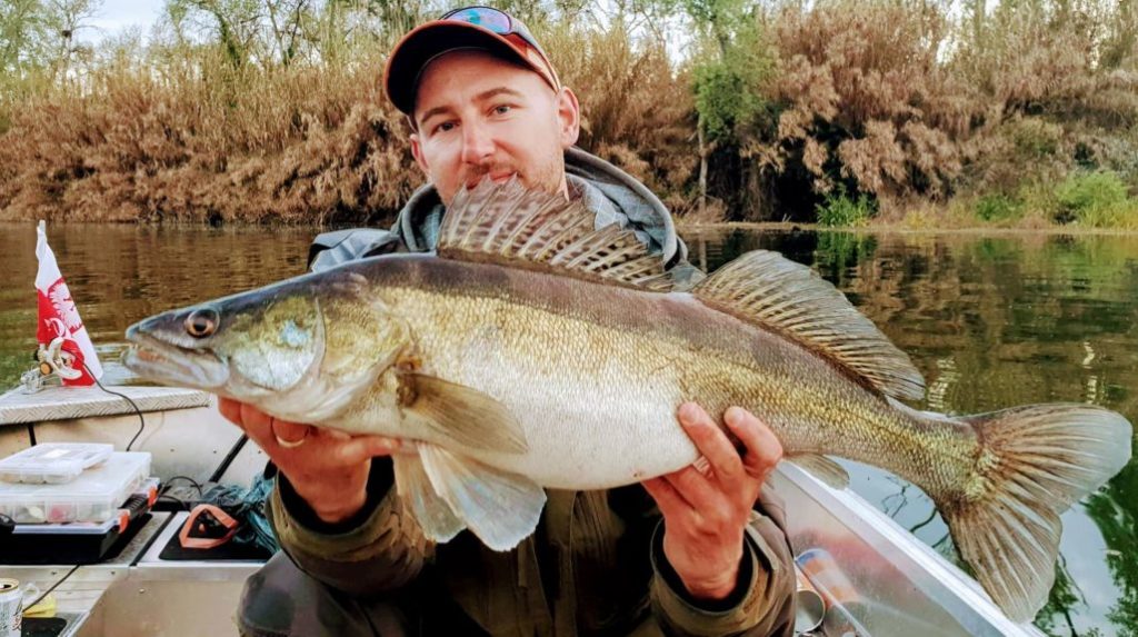 Rzeka Ebro