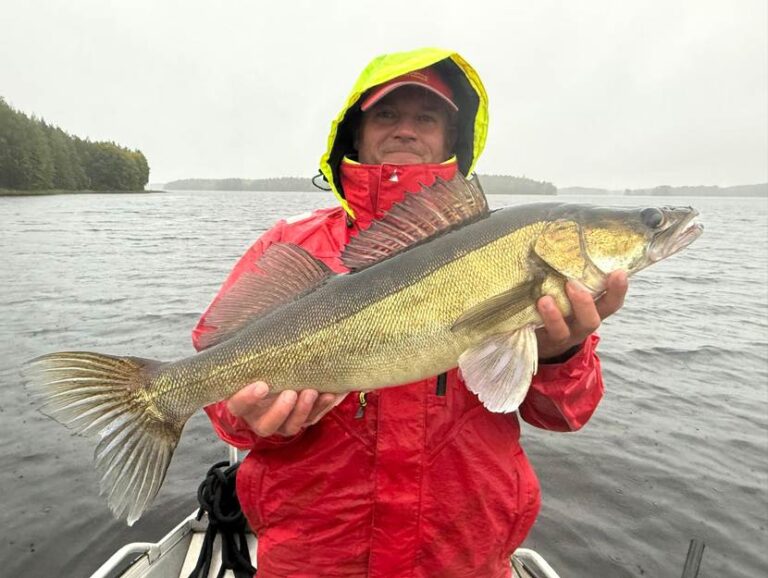 Jezioro Vuotjärvi – wyprawa wędkarska do Finlandii